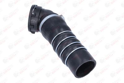 FURTUN EAR SUPRAALIMENTARE BIRTH 55818 3