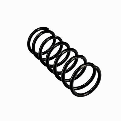 ARC SPIRAL EIBACH R10118 11