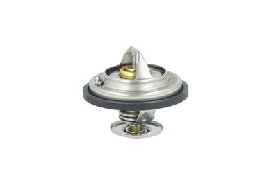 TERMOSTAT LICHID RACIRE NRF 725478 12