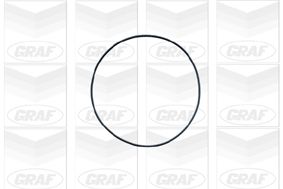 POMPă DE APă RăCIRE MOTOR GRAF PA374 1