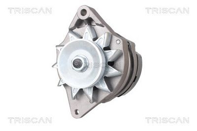 Alternator TRISCAN 831017002