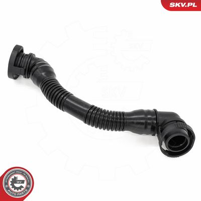 Žarna, karterio alsuoklis