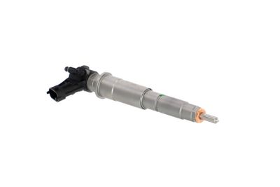 INJECTOR REMANTE 002003001147R 48