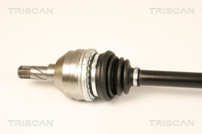 PLANETARA TRISCAN 854024548 1