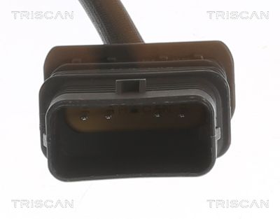 SONDA LAMBDA TRISCAN 884511107 1