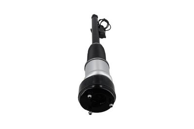 Luftfederbein KAMOKA 2070053