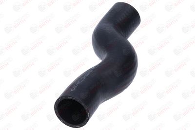 FURTUN EAR SUPRAALIMENTARE BIRTH 55888 3