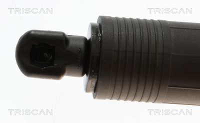 Plynárenská vzpera (pneumatická pružina), zavazadlový priestor TRISCAN 8710 24302