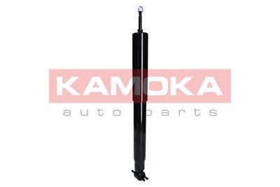 Shock Absorber 2000870