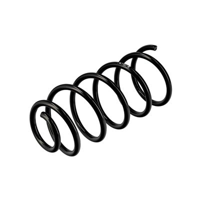 ARC SPIRAL EIBACH R10846 16