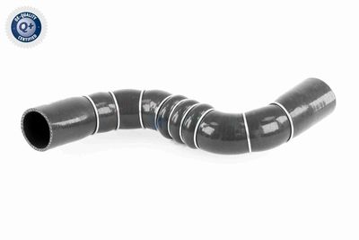 FURTUN EAR SUPRAALIMENTARE ACKOJA A389602 1