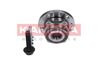 Wheel Bearing Kit 5500069