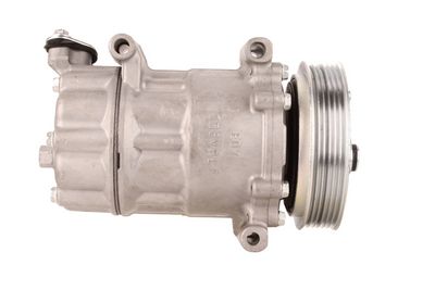 COMPRESOR CLIMATIZARE WALKER WCP00221 1