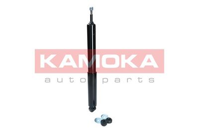 Shock Absorber 2000988