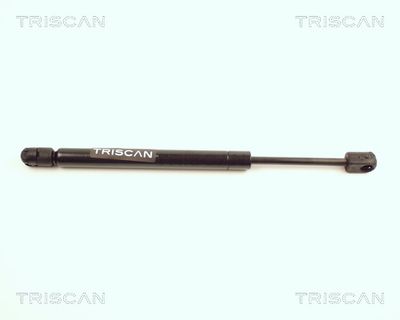 TRISCAN 8710 25205 Амортизатор багажника и капота  для RENAULT 19 (Рено 19)