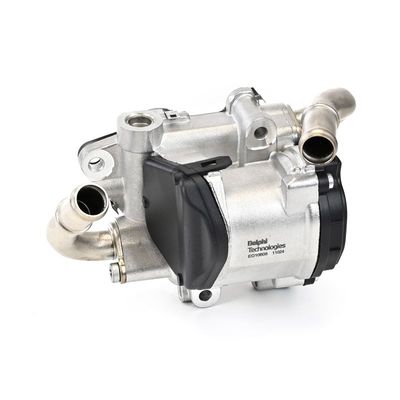 SUPAPA EGR DELPHI EG1060812B1 24