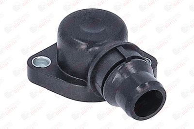 FLANSA LICHID RACIRE BIRTH 81108 1