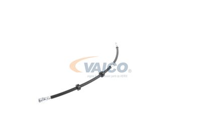 FURTUN FRANA VAICO V104226 19