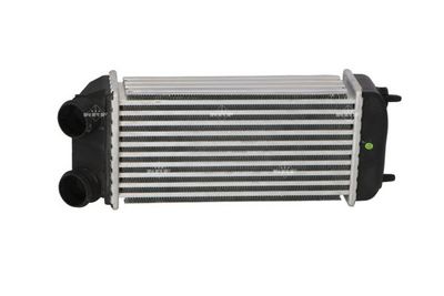 Charge Air Cooler 30904