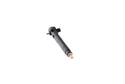 INJECTOR REMANTE 002003000176R 58