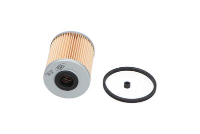 FILTRU COMBUSTIBIL AMC Filter NF2481 25