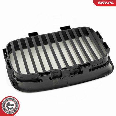 GRILA RADIATOR ESEN SKV 66SKV043 8