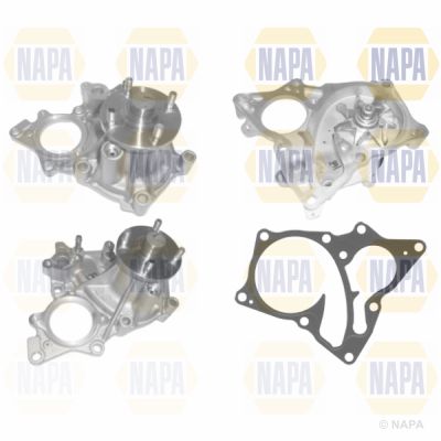 Water Pump, engine cooling NAPA NWP1535