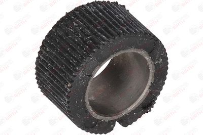 BUCSA ARBORE DE DIRECTIE BIRTH 4848 12