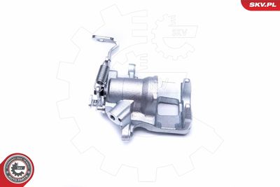 Brake Caliper 44SKV533