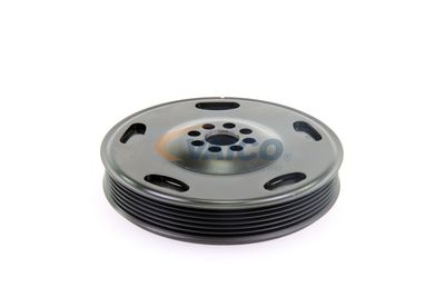 FULIE CUREA ARBORE COTIT VAICO V104342 51