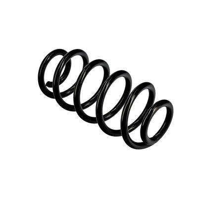 ARC SPIRAL EIBACH R10135 10