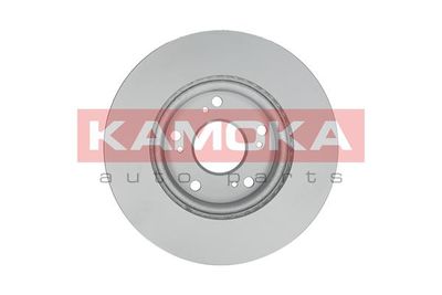 Brake Disc 1031038