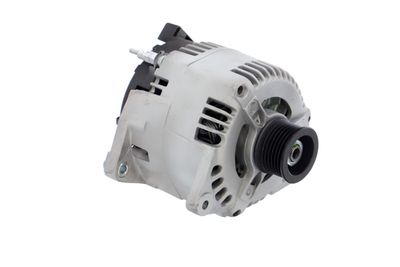 GENERATOR / ALTERNATOR REMANTE 011003000106R 49