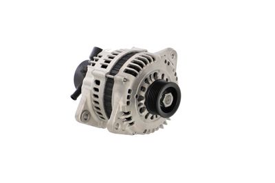 GENERATOR / ALTERNATOR REMANTE 011003000003R 49