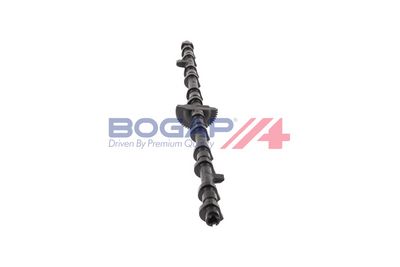 ARBORE EXCENTRIC REGLAREA ARBORELUI CU CAME BOGAP B1924100 3