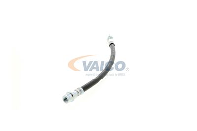FURTUN FRANA VAICO V104127 25