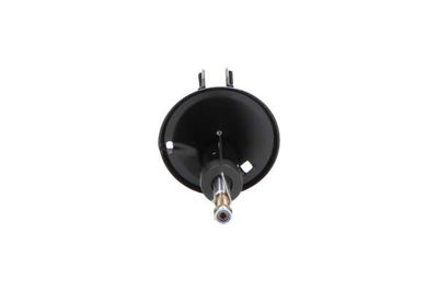 AMORTIZOR Kavo Parts SSA10081 16