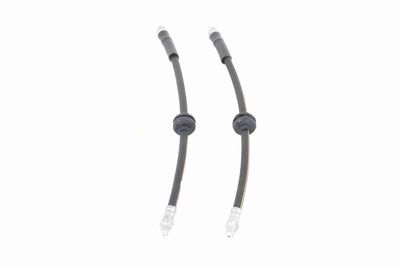 FURTUN FRANA VAICO V240091 9