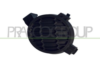 Облицовка, противотуманная фара PRASCO DS0121250
