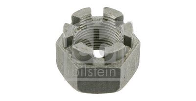 PIULITA CRENELATA FEBI BILSTEIN 04067