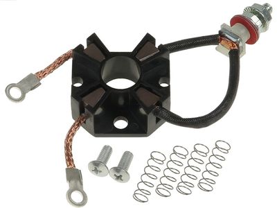 AS-PL Halter, Kohlebürsten