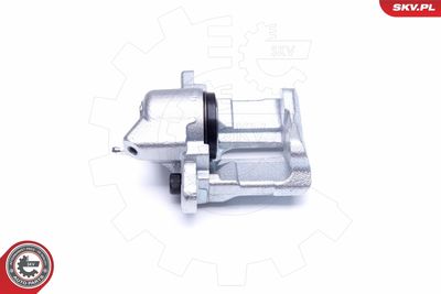 Brake Caliper 45SKV291