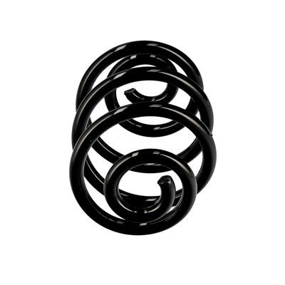 ARC SPIRAL EIBACH R10360 1