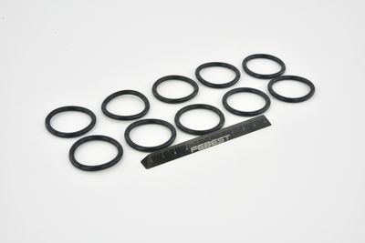 GARNITURA FLANSA LICHID RACIRE FEBEST RINGWH020PCS10 48