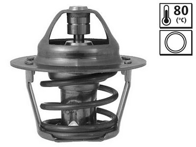 TERMOSTAT LICHID RACIRE