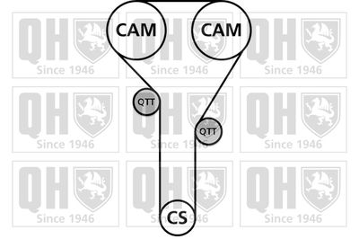 SET CUREA DE DISTRIBUTIE QUINTON HAZELL QBK756 1