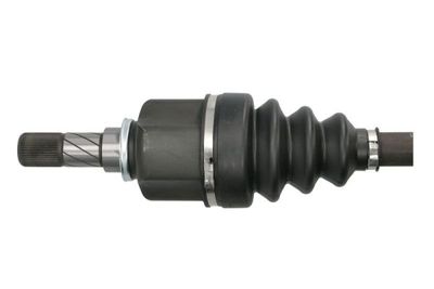 Planetara PASCAL G2R159PC