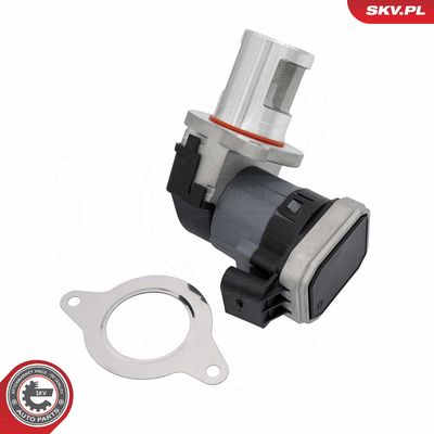 AGR-Ventil ESEN SKV 14SKV307