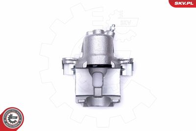 Brake Caliper 46SKV723