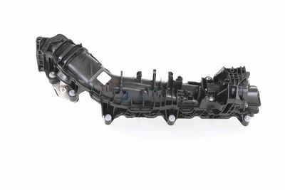 MODUL CONDUCTA ADMISIE VAICO V204556 9